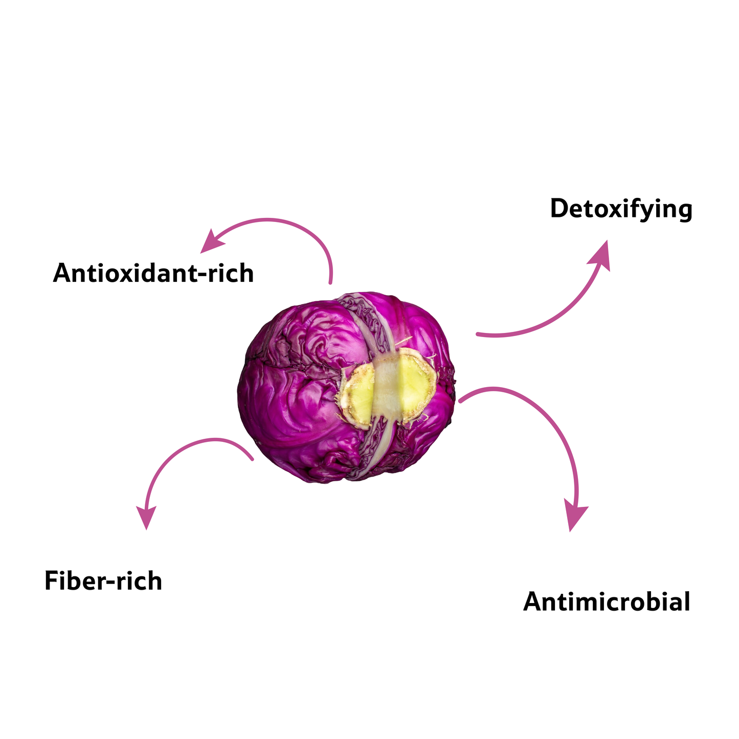 Starfresh Cabbage Red About ~ 300 gm
