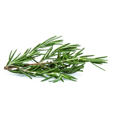 Starfresh Rosemary ~ 30-40 g