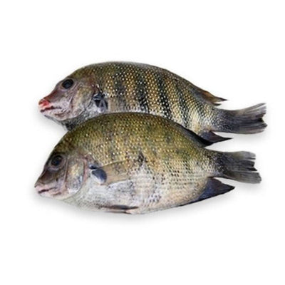 Starfresh Fresh Water Pearl Spot Whole 1 kg