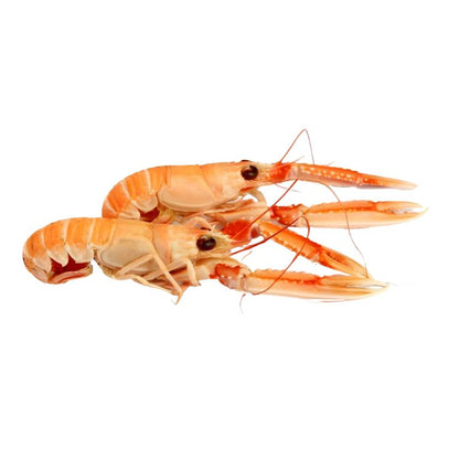 Fresh Water Scampi 10 Count Whole, 500 g