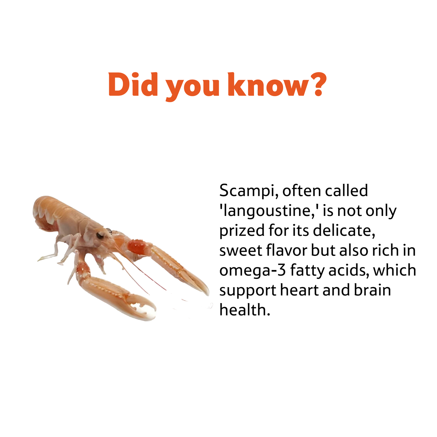Fresh Water Scampi 10 Count Whole, 500 g