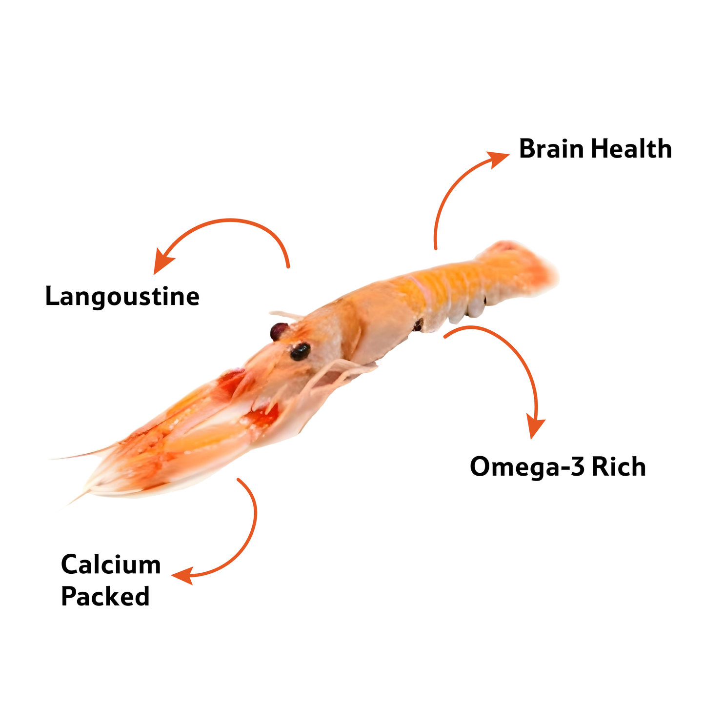 Starfresh Fresh Water Scampi 10 Count Whole 500 g