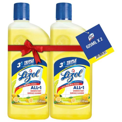 Lizol Disinfected Cleaner Combo 2x 625 ml