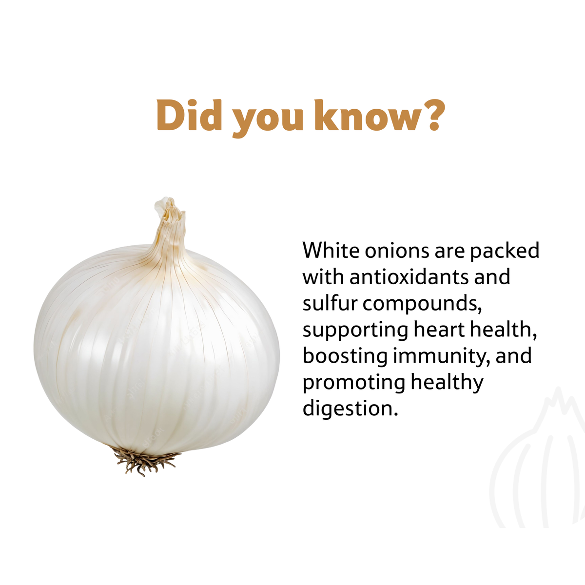 Onion White Loose, 500 g