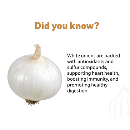 Onion White Loose, 1 Kg