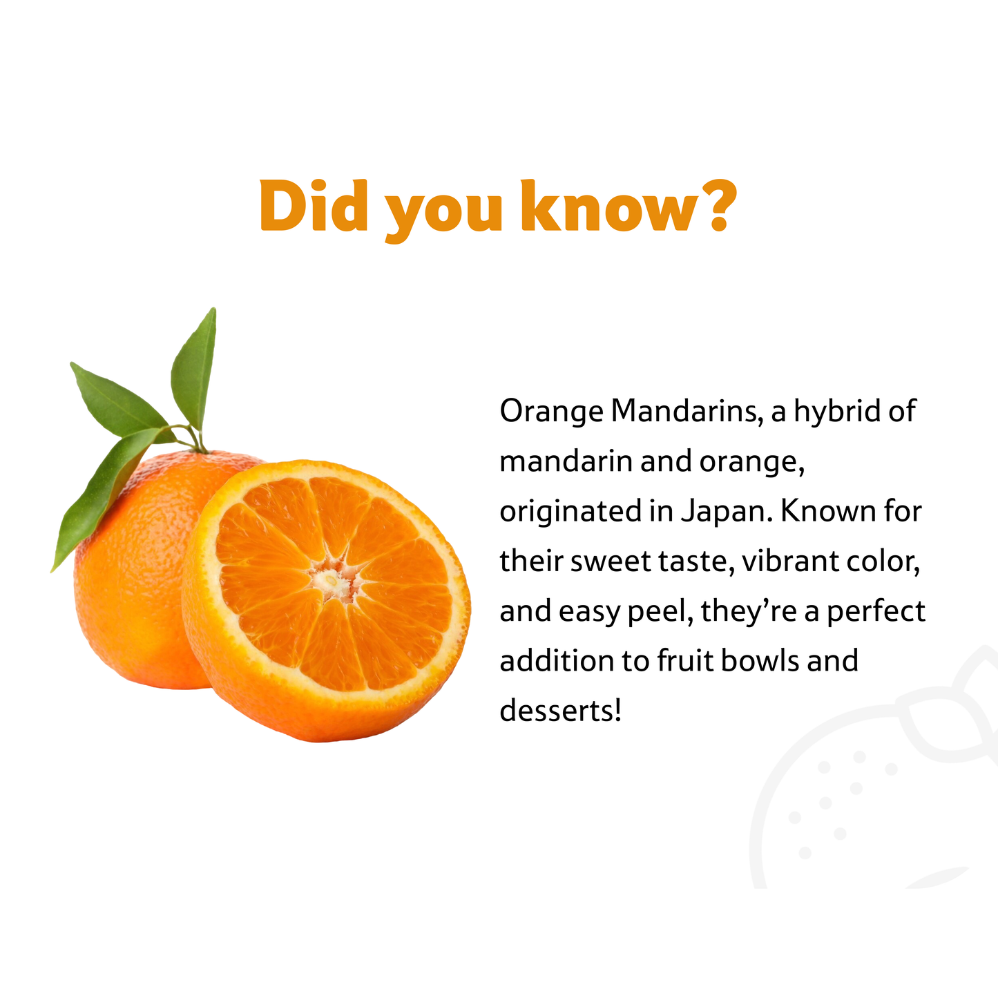 Starfresh Orange Mandarin Imported ~ 1 kg