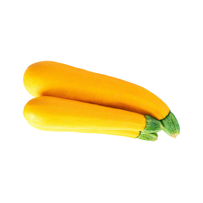 Zucchini Yellow, Prepack 1 Pc