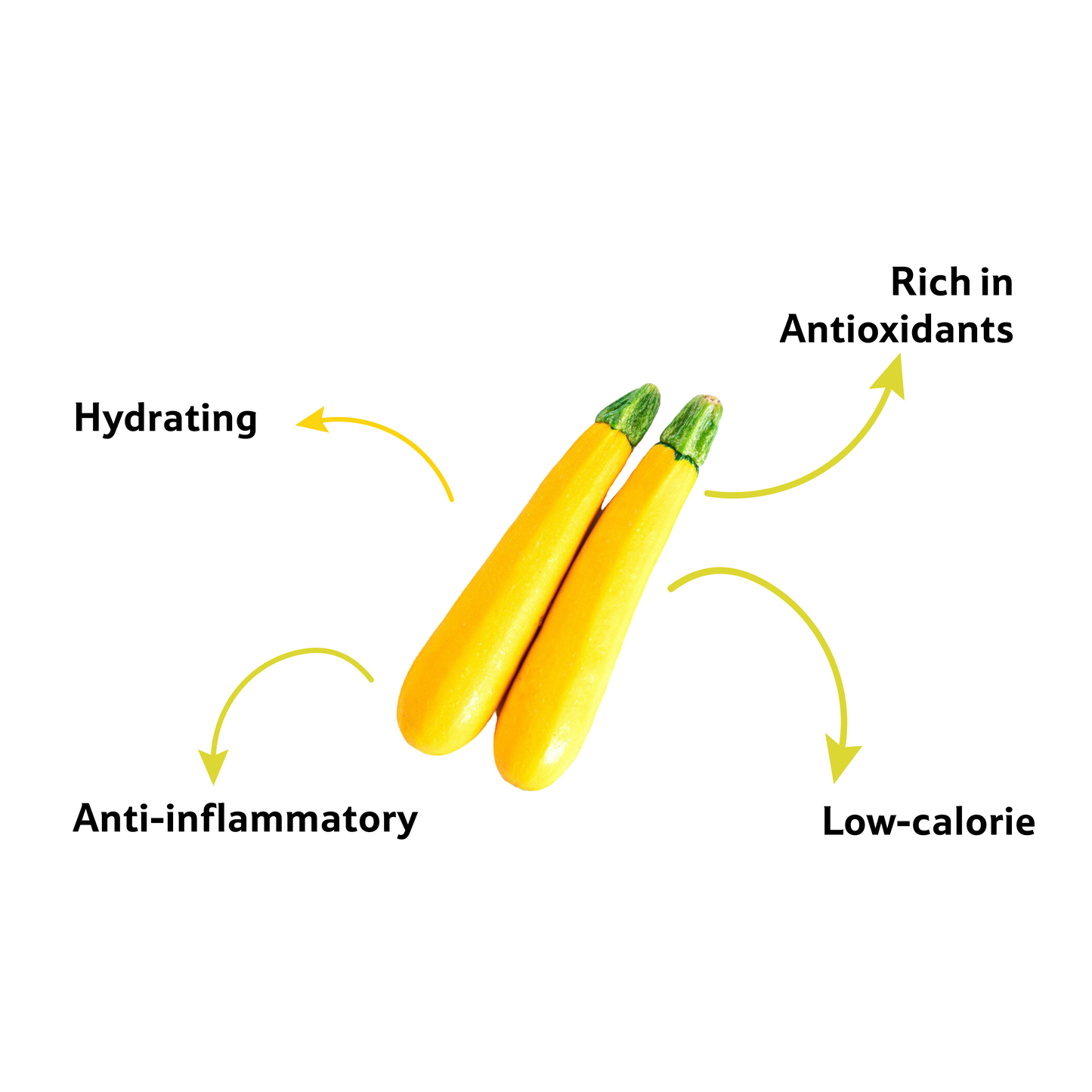 Zucchini Yellow, Prepack 1 Pc