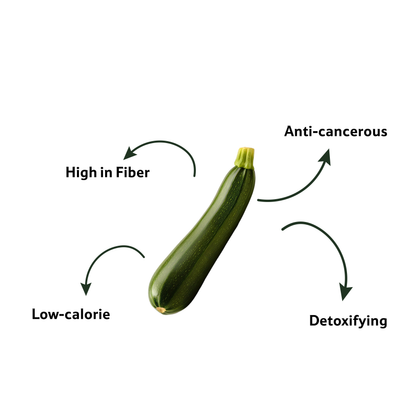 Zucchini Green, Prepack 1 Pc