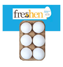 Freshen Eggs pack of 6