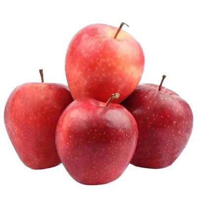 Apple Royal Gala Indian, 500 g