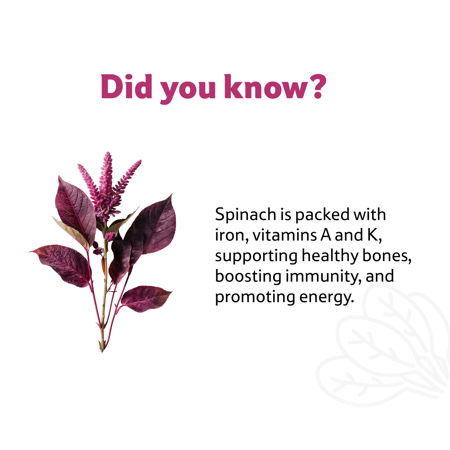 Starfresh Spinach 1 bunch