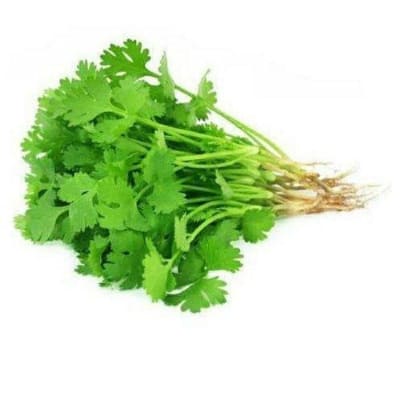 Coriander, 1 Bunch