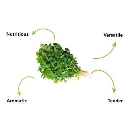 Methi Leaves, 1 Bunch