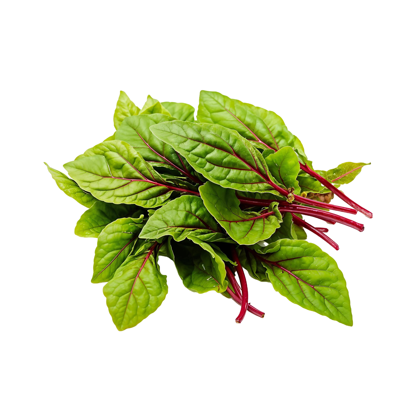 Amaranthus Green Leaves, 1 Bunch