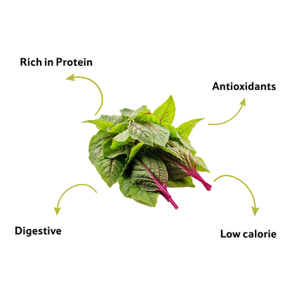 Amaranthus Green Leaves, 1 Bunch