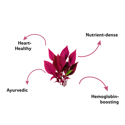 Amaranthus Red Leaves, 1 Bunch