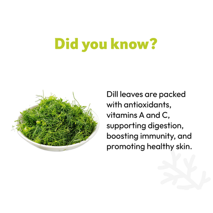 Starfresh Dill Leaves 1 bunch