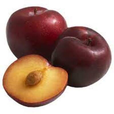 Starfresh Plums Imported Prepacked ~ 250 gm