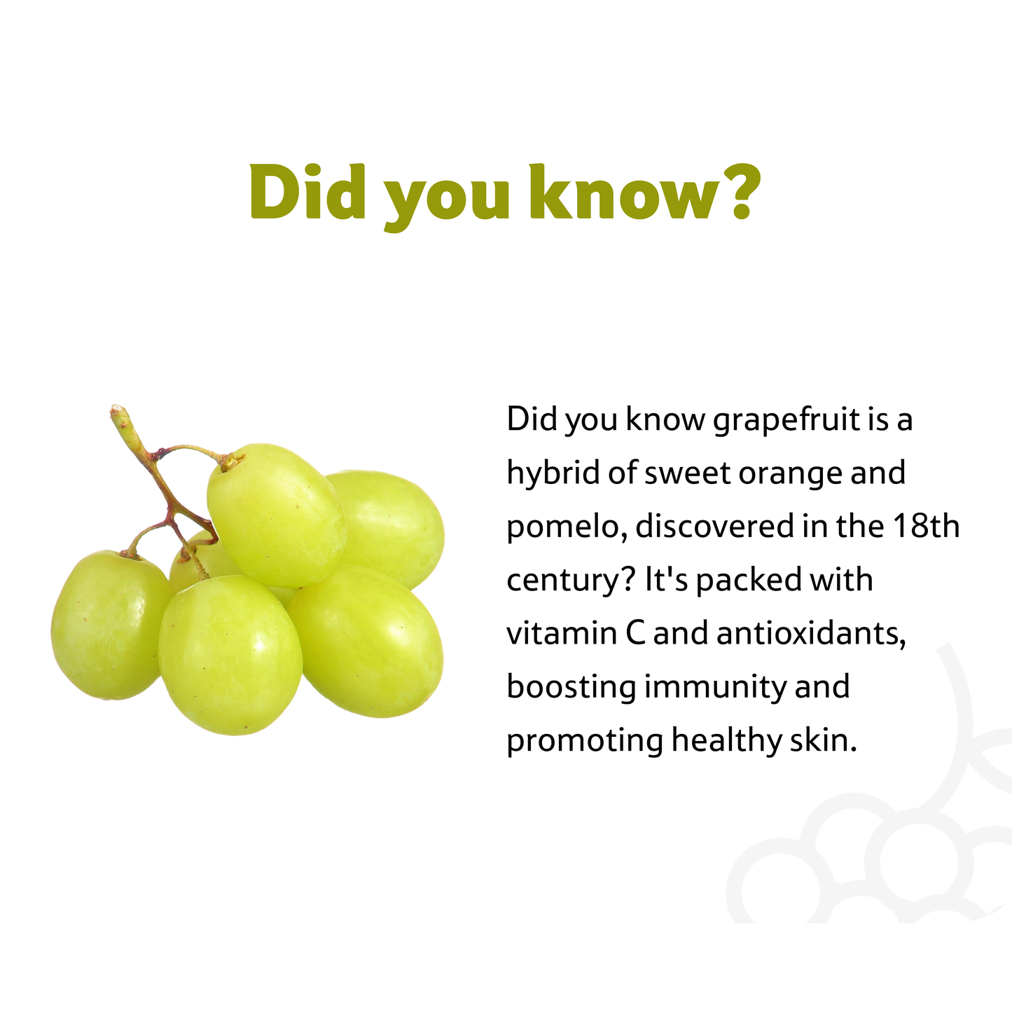 Starfresh Grape Fruit Imported ~ 600 gm