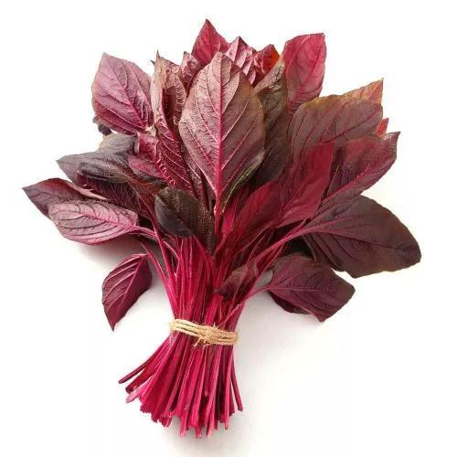 Amaranthus Red Premium Leaves, 1 Bunch