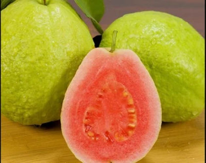 Jumbo Guava Pink, 1 Kg