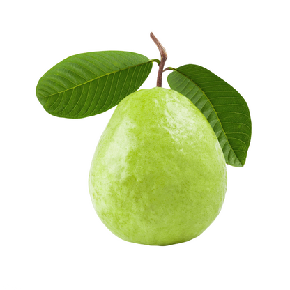 Starfresh Jumbo Guava Pink ~ 1.5 kg