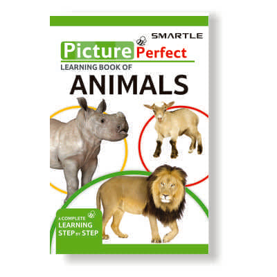 Smartle Picture Book Of Animals 1 pc