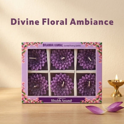 Shubh Anand Brahmakamal Scented Floating Candles, 6 Pcs