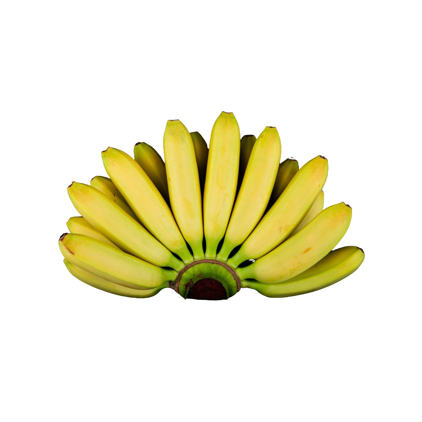 Banana Yellaki, Pack of 6, ~ 350–450 g