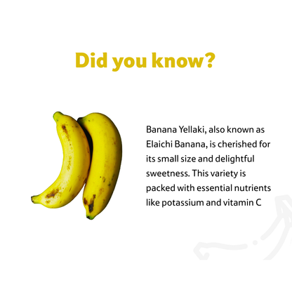 Banana Yellaki, Pack of 6, ~ 350–450 g
