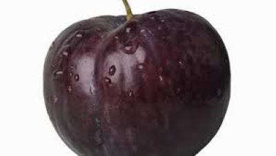 Starfresh Plum Black Amber Indian ~ 200 g
