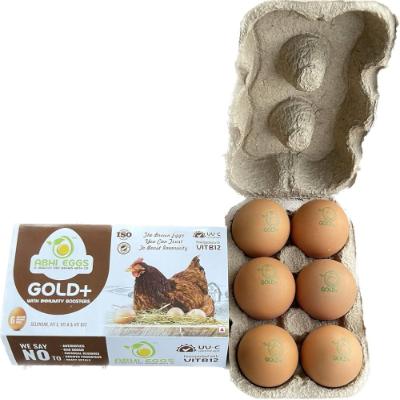 Abhi Gold Brown Eggs pack of 6