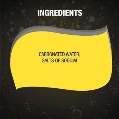 Schweppes Soda Water Can 300 ml