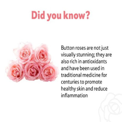 Button Rose, 500 g