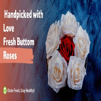 Button Rose, 500 g