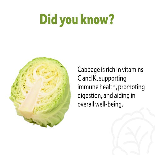 Starfresh Cabbage 1 Pc About 500- 700 Gm