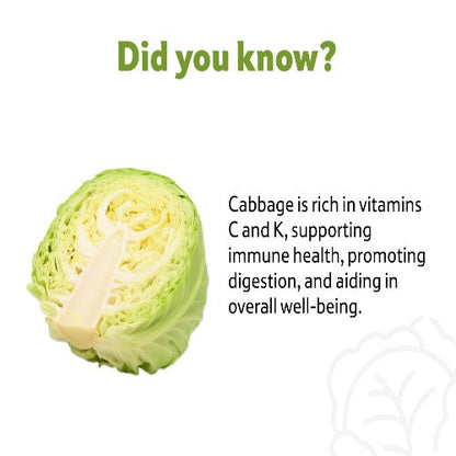 Starfresh Cabbage 1 Pc About 500- 700 Gm