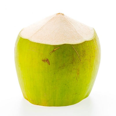 Coconut Tender, 1 Pc