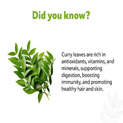 Starfresh Curry Leaves Bunch About 50 Gm