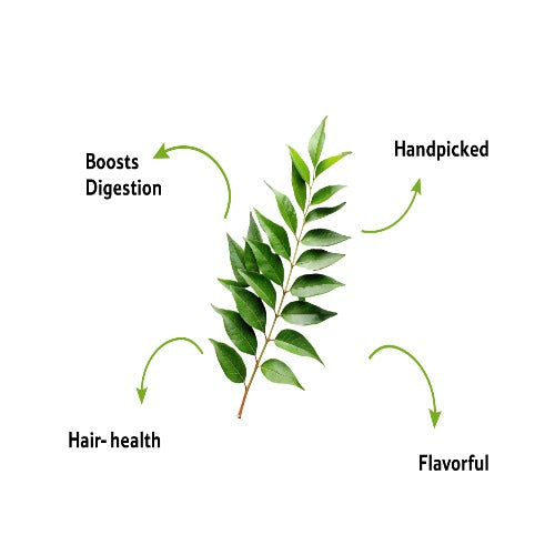 Starfresh Curry Leaves Bunch About 50 Gm