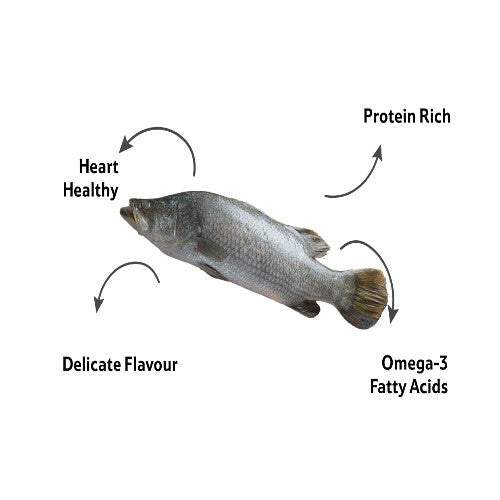 Starfresh Fresh Water Betki Round Cut 1 Kg