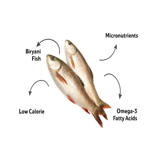Starfresh Fresh Water Rohu Whole Round Cut From 850-1200 Gm