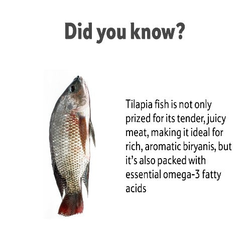 Starfresh Fresh Water Tilapia Fillet Cut Gross 600 Gm, Fillet 250 Gm