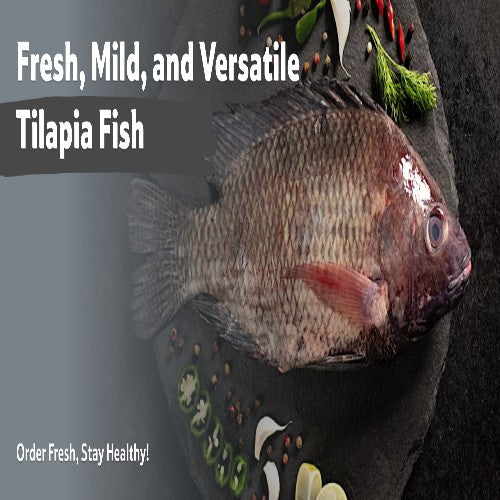 Starfresh Fresh Water Tilapia Fillet Cut Gross 600 Gm, Fillet 250 Gm