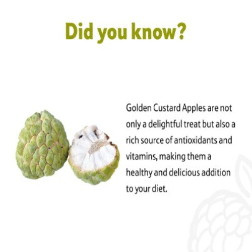 Starfresh Golden Custard Apple About 500 Gm