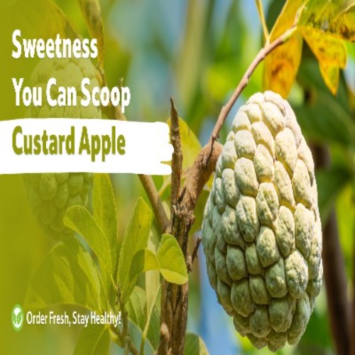 Starfresh Golden Custard Apple About 500 Gm