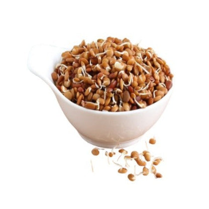 Horse Gram Sprouts, Prepack 100 g