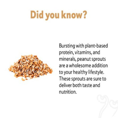 Horse Gram Sprouts, Prepack 100 g