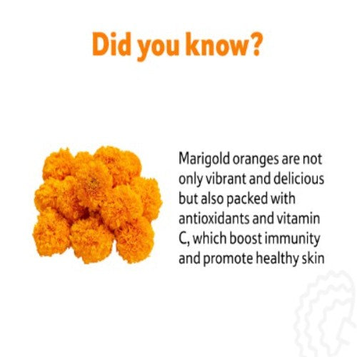 Starfresh Marigold Orange Flower ~ 120 gm